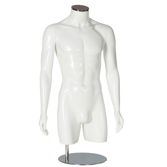 Male Torsos
