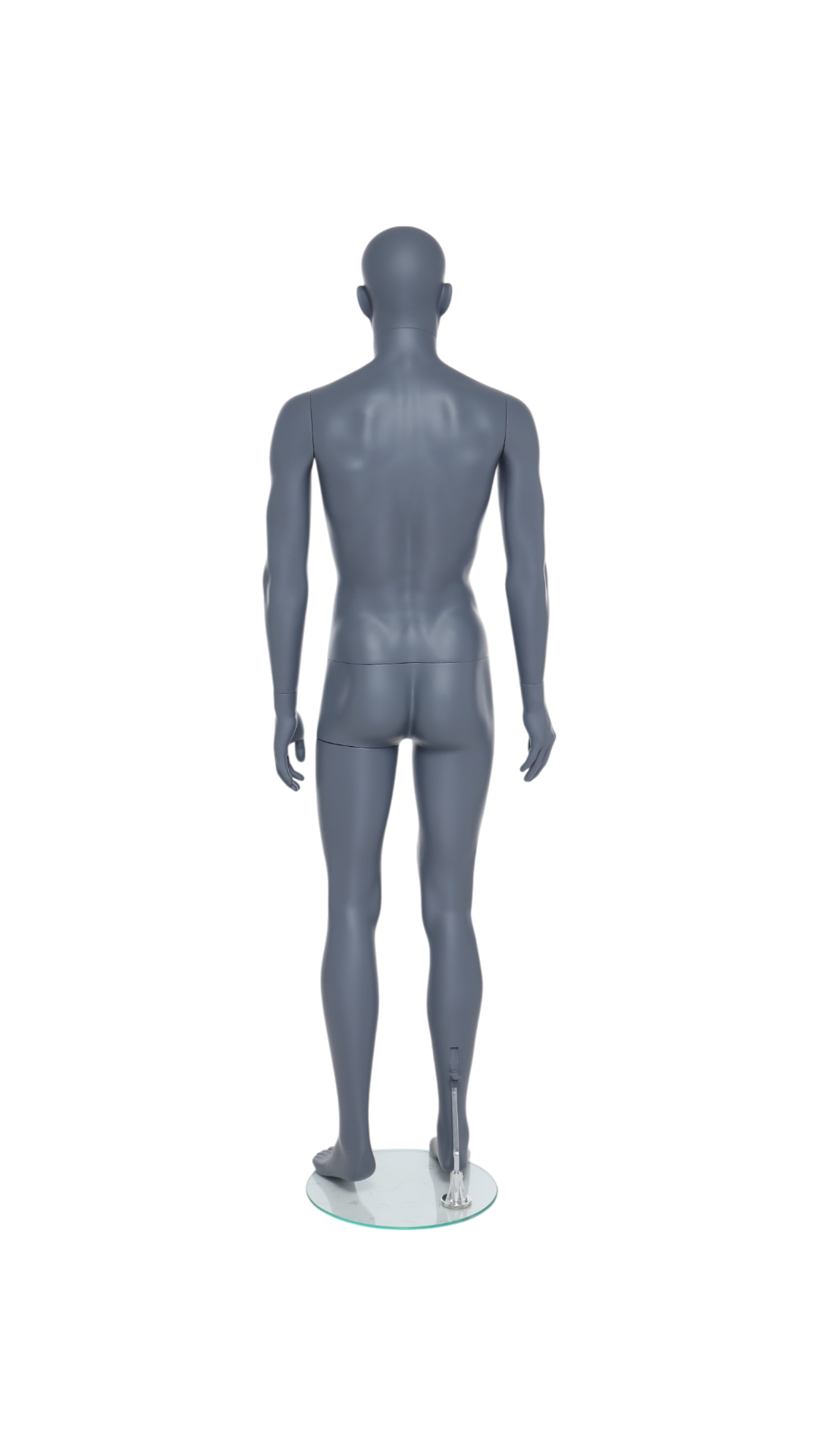 Male Mannequin - GAM341