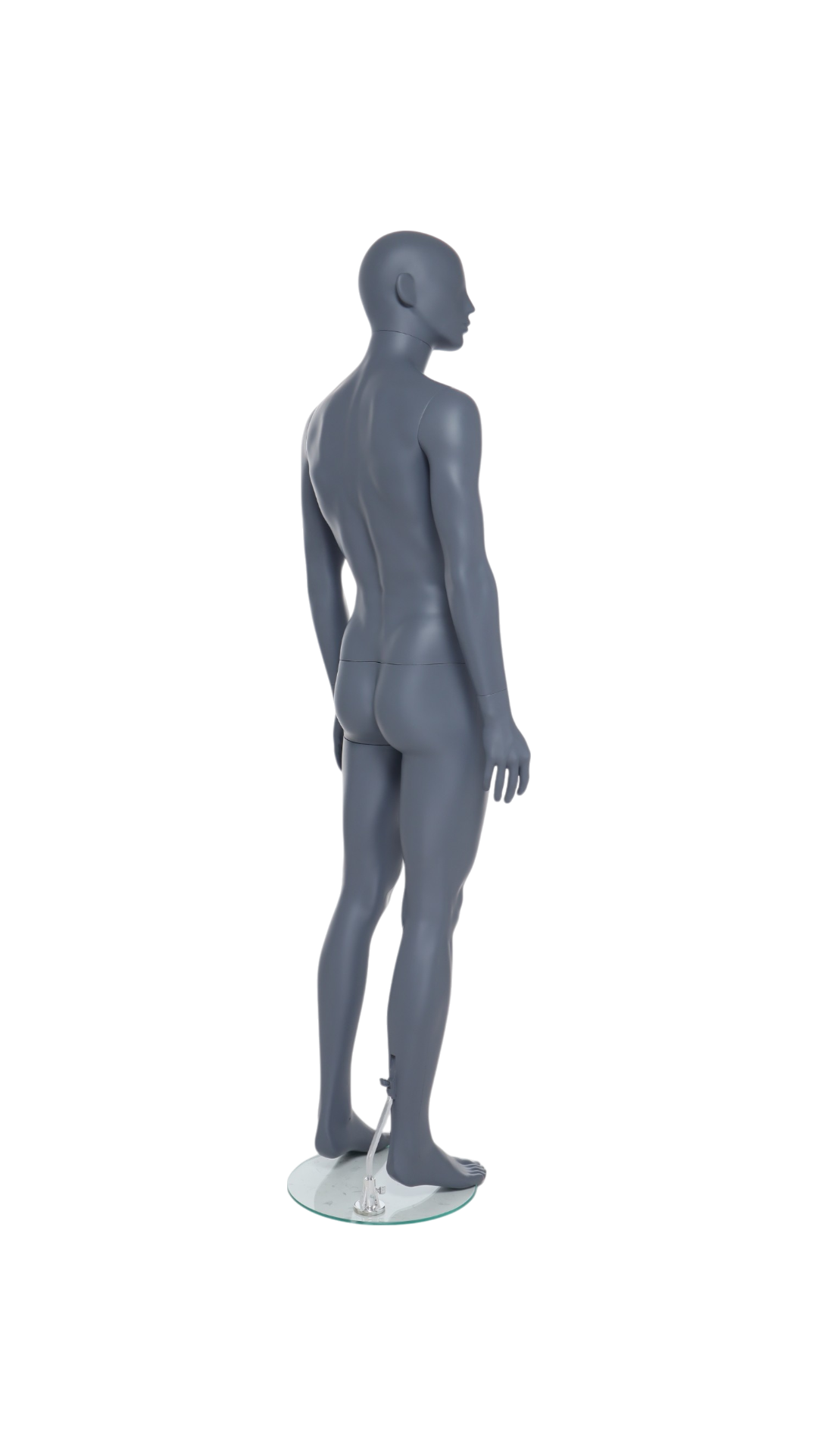 Male Mannequin - GAM341
