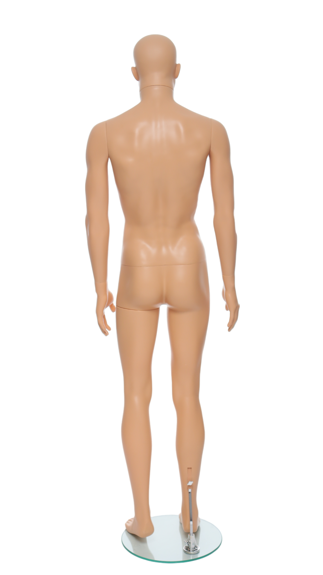 Male Mannequin - R320