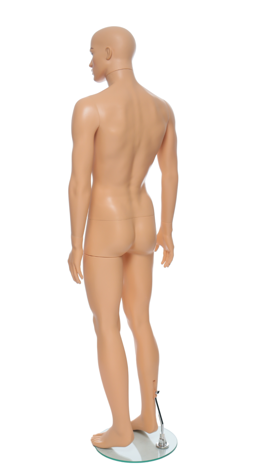 Male Mannequin - R320