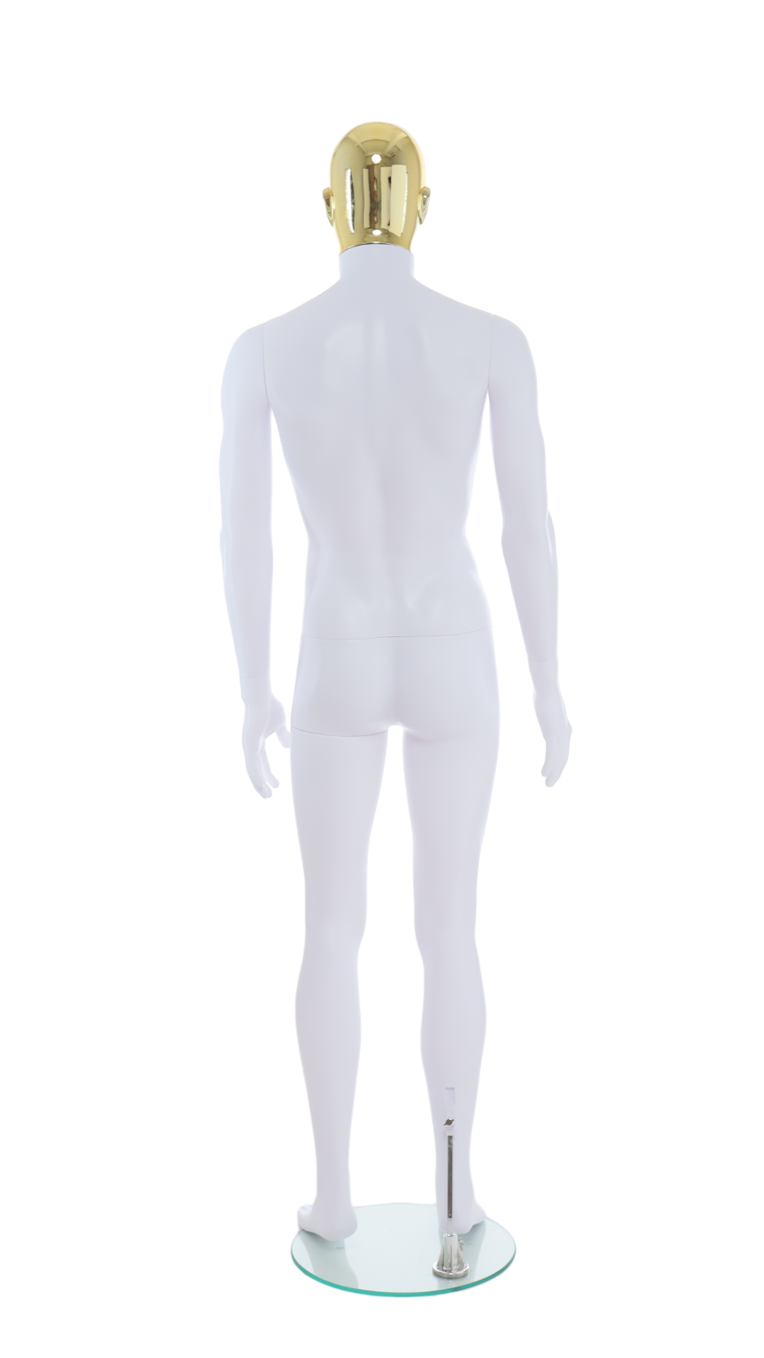 Male Mannequin - R357GD