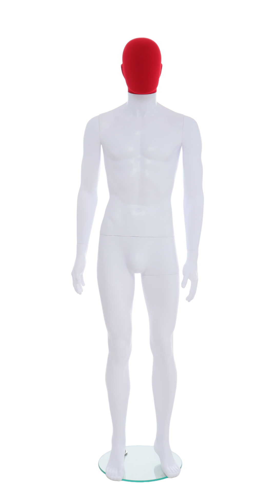 Male Mannequin - R357RP