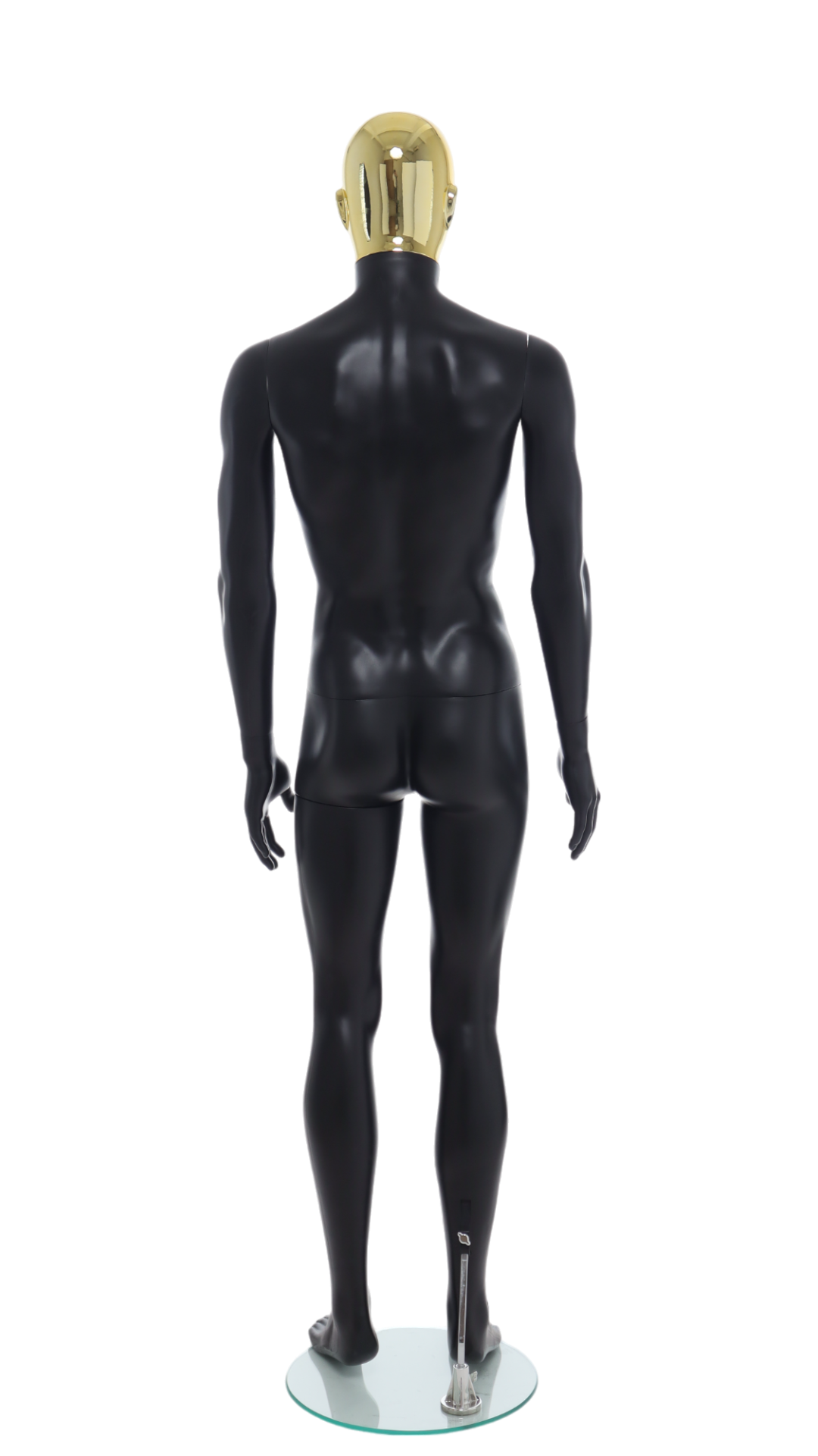 Male Mannequin - R358GD