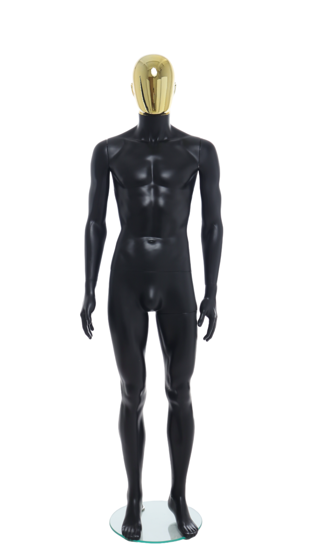 Male Mannequin - R358GD