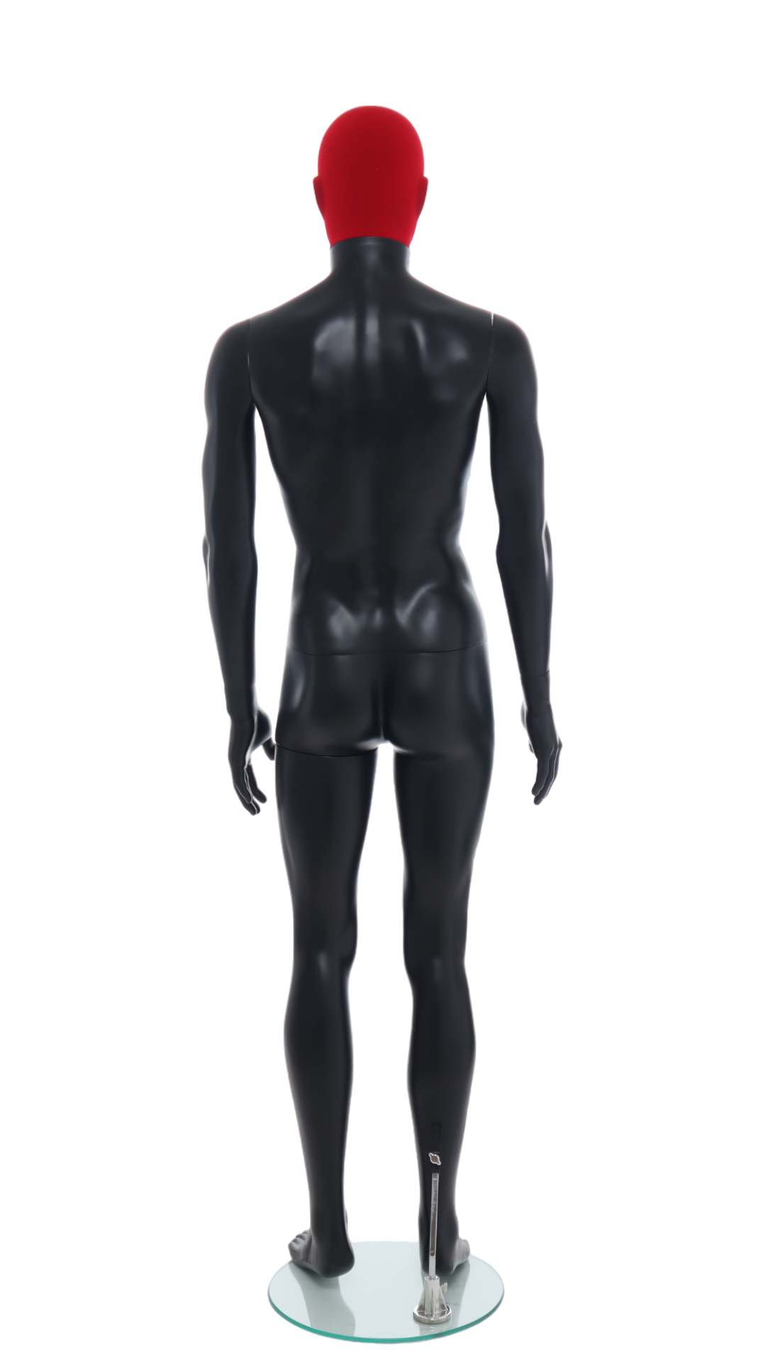 Male Mannequin - R358RP