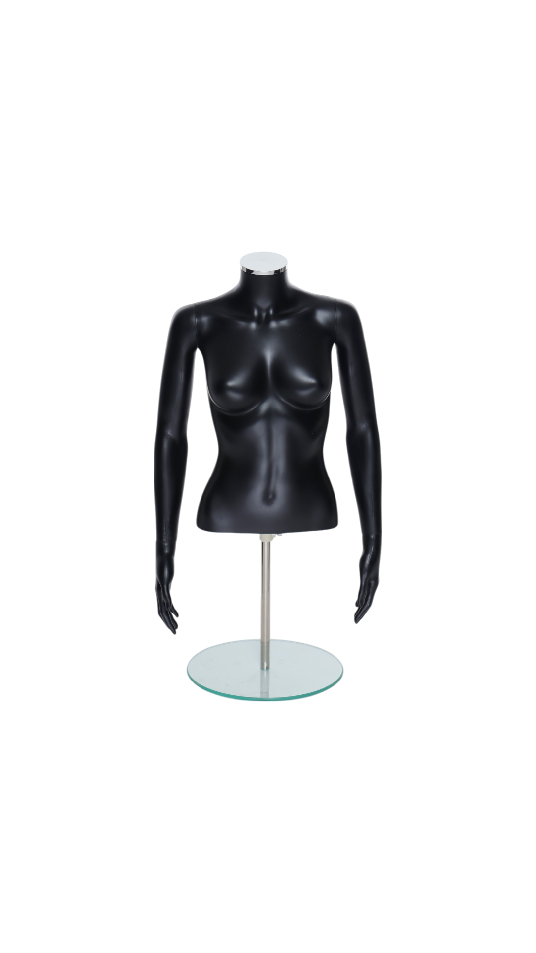 Female Torso - R370B