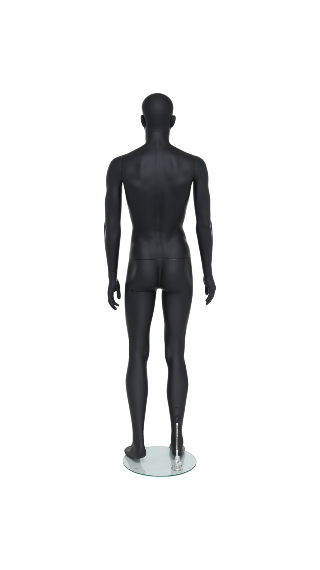 Male Mannequin - GAM321