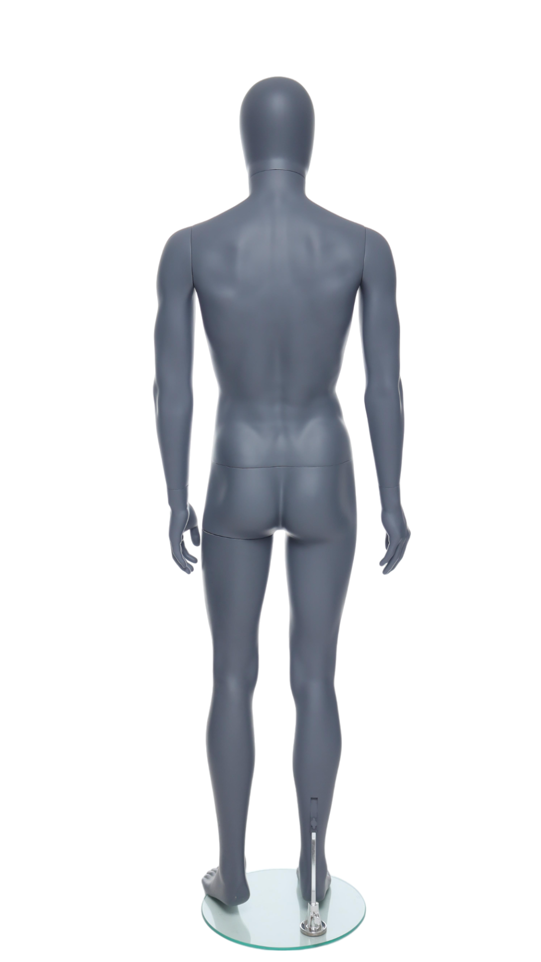 Male Mannequin - GEM341