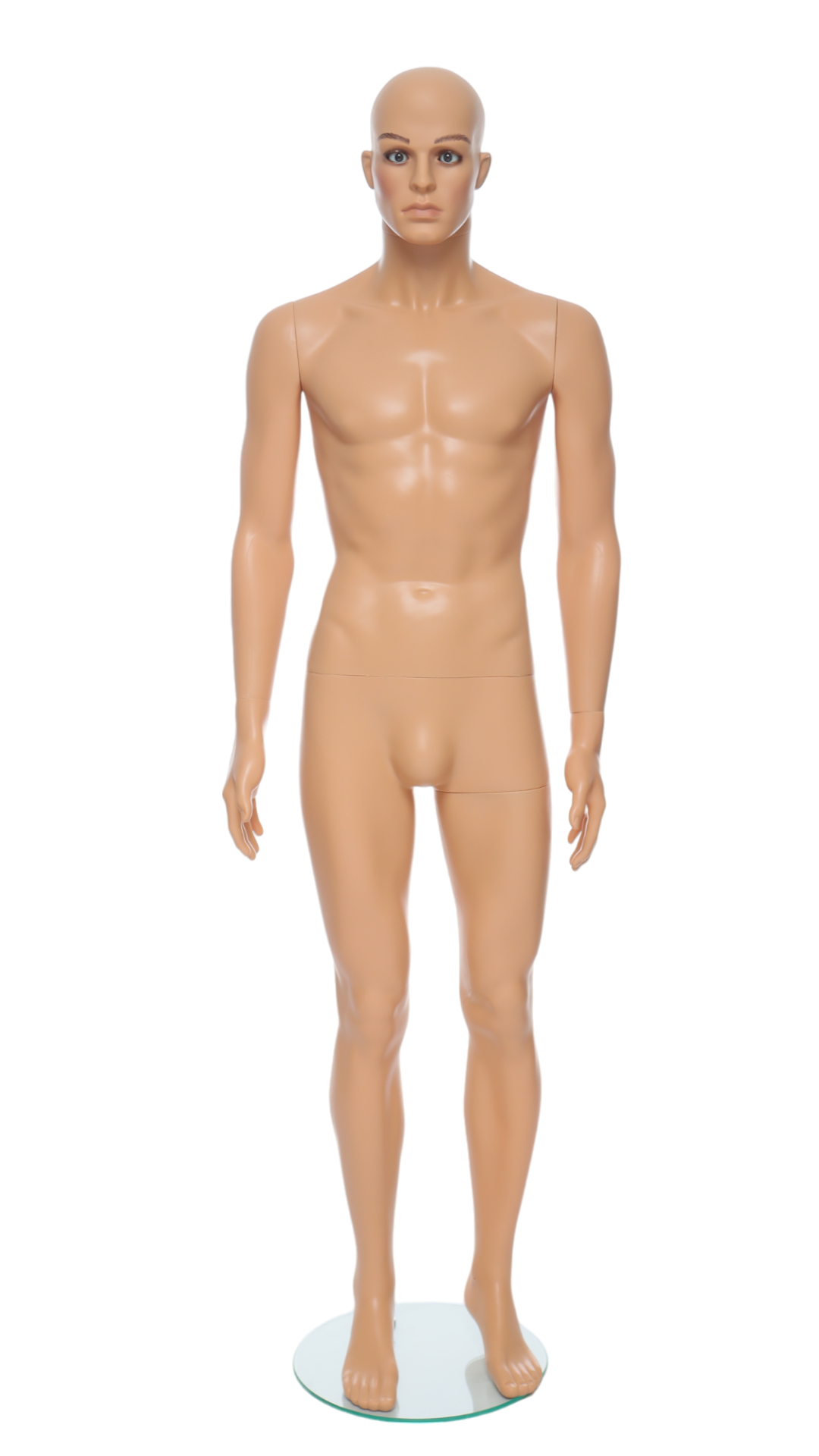 Male Mannequin - R320