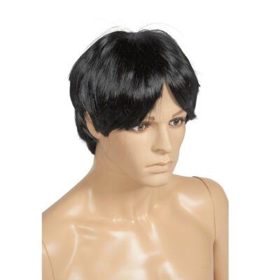 Male Wig - R391B