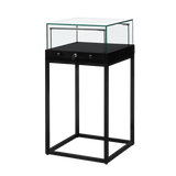 Counter Display Case - R2701B