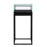 Counter Display Case - R2702B