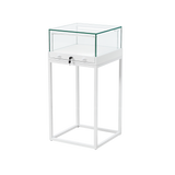 Counter Display Case - R2701W