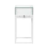 Counter Display Case - R2701W