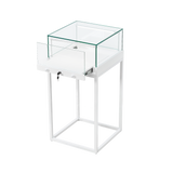 Counter Display Case - R2701W