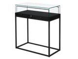 Counter Display Case - R2703B