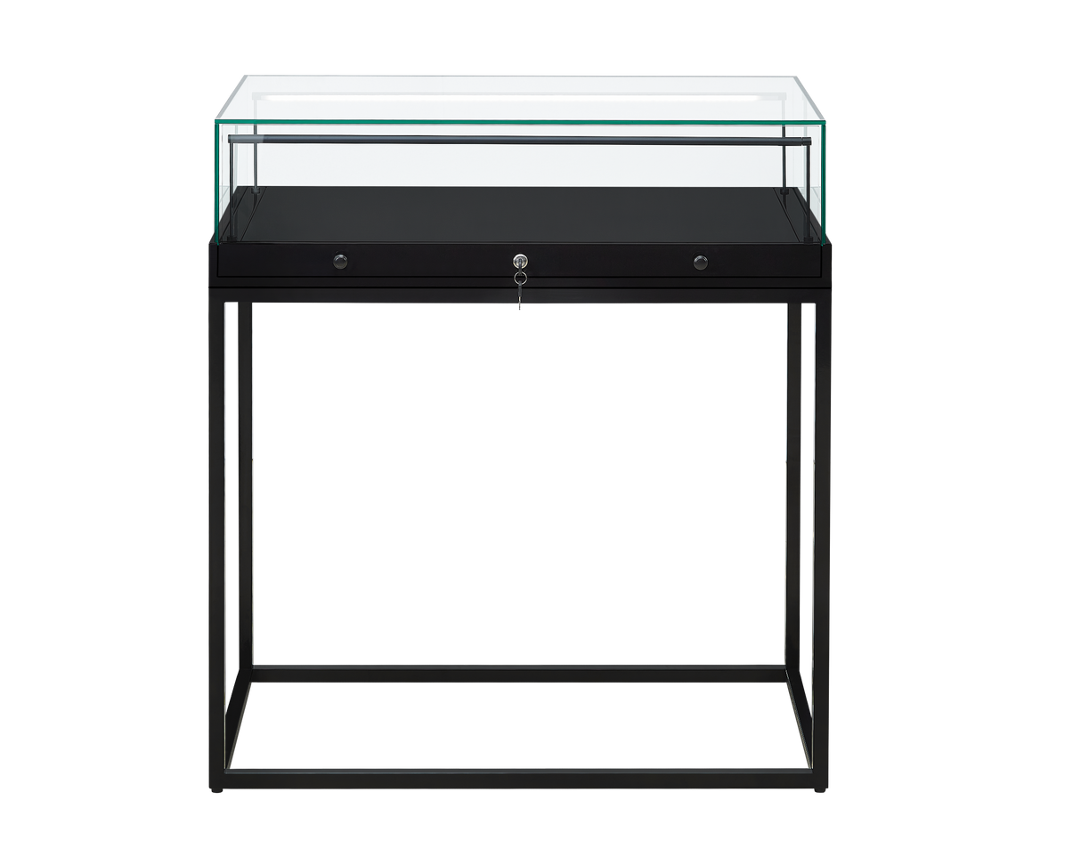 Counter Display Case - R2703B