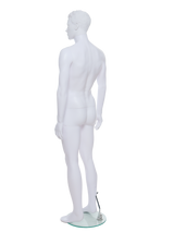 Male Mannequin - R322
