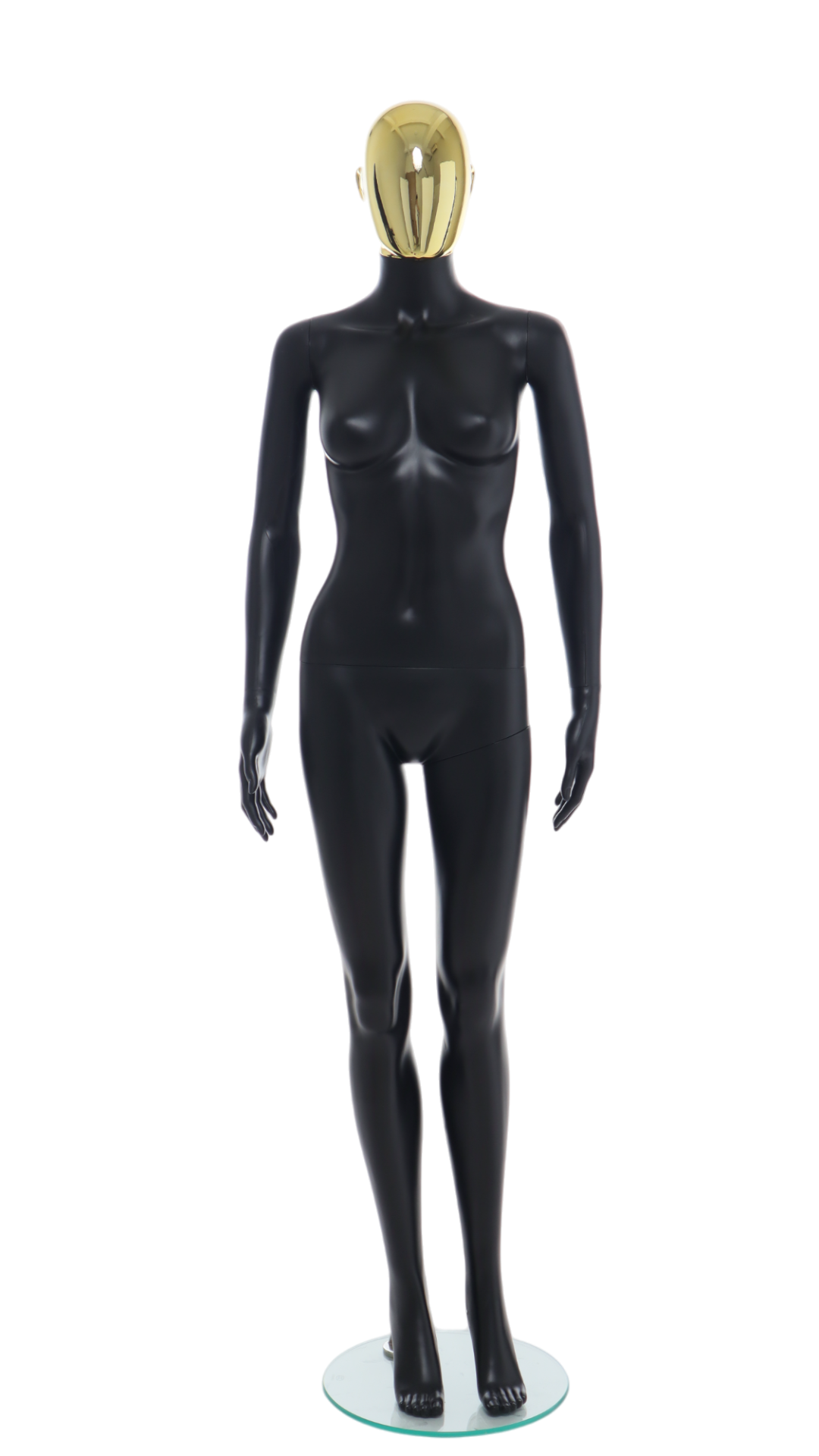 Female Mannequin - R356GD