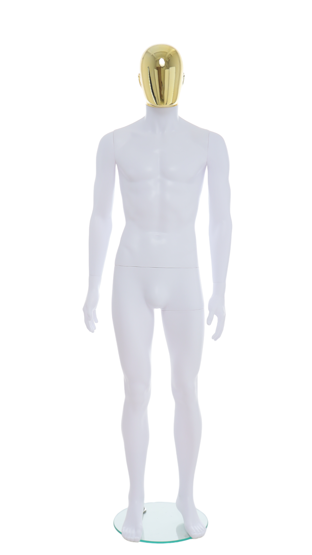 Male Mannequin - R357GD