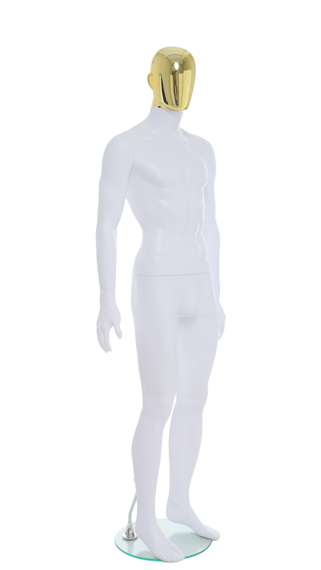 Male Mannequin - R357GD