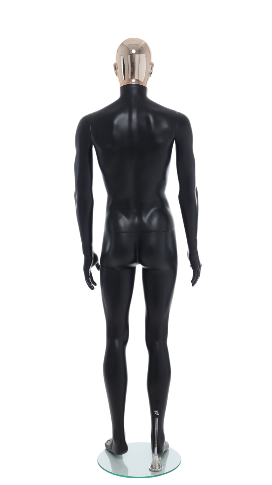 Male Mannequin - R358RG