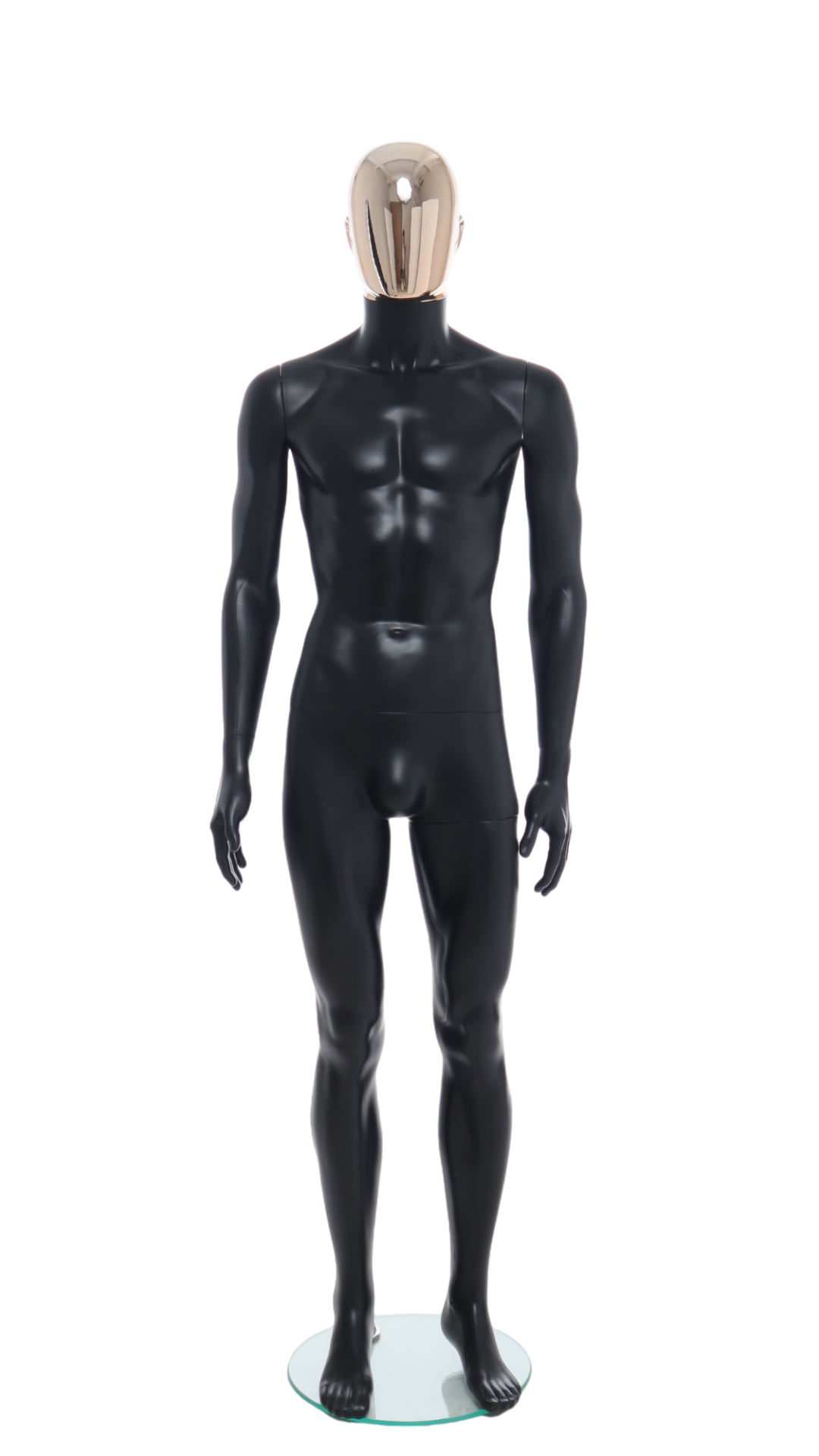 Male Mannequin - R358RG