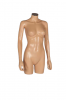 Female Torso R364