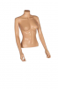 Female Torso R371