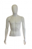Male Torso R373