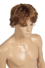 Male Wig R391